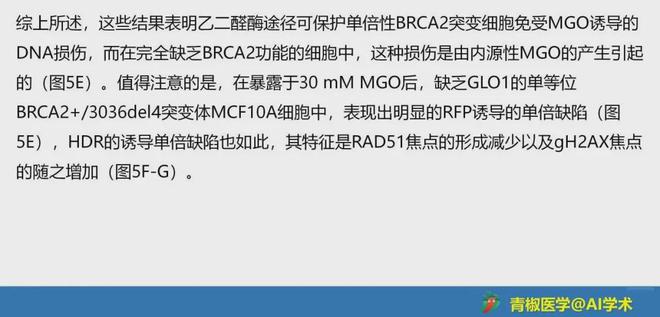 新澳精选资料免费提供｜新澳优质资料免费获取_精细分析解答落实