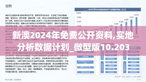 新澳2024年最新版资料｜2024年新澳最新信息｜全面执行计划