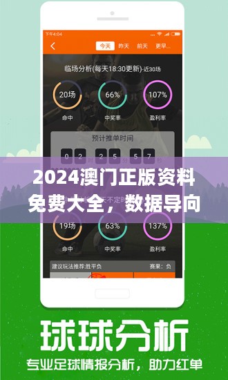 2024澳门正版免费精准资料｜2024澳门正版免费精准资料_实地评估解析数据