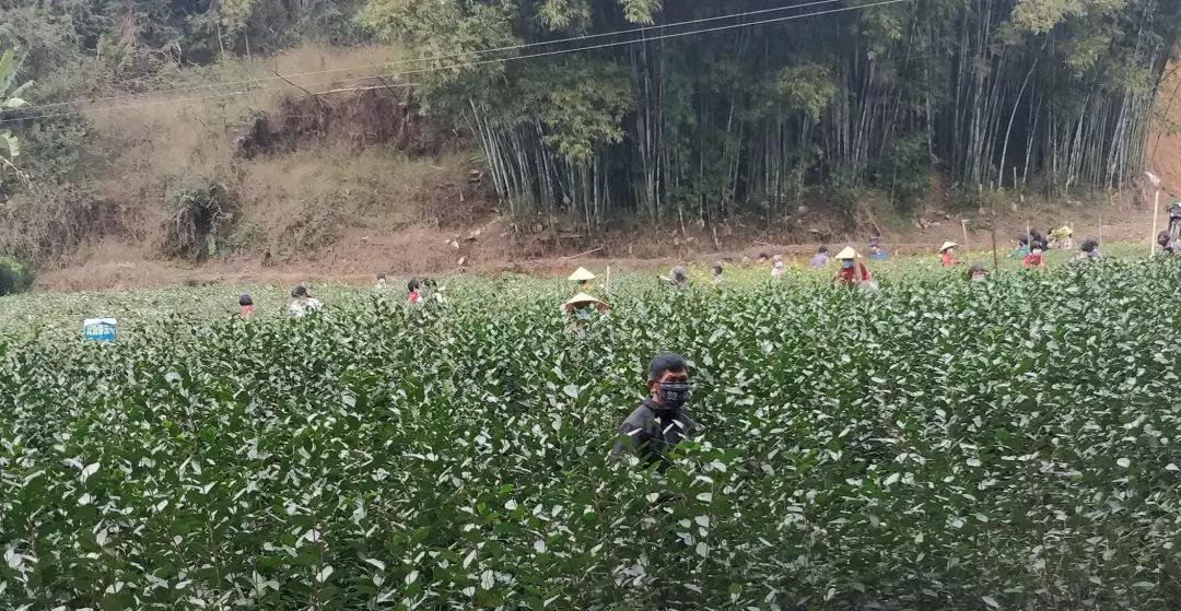 广西浦北最新招聘信息（浦北招聘资讯速递）