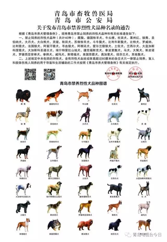 “南宫犬业近期育种收费标准揭晓”