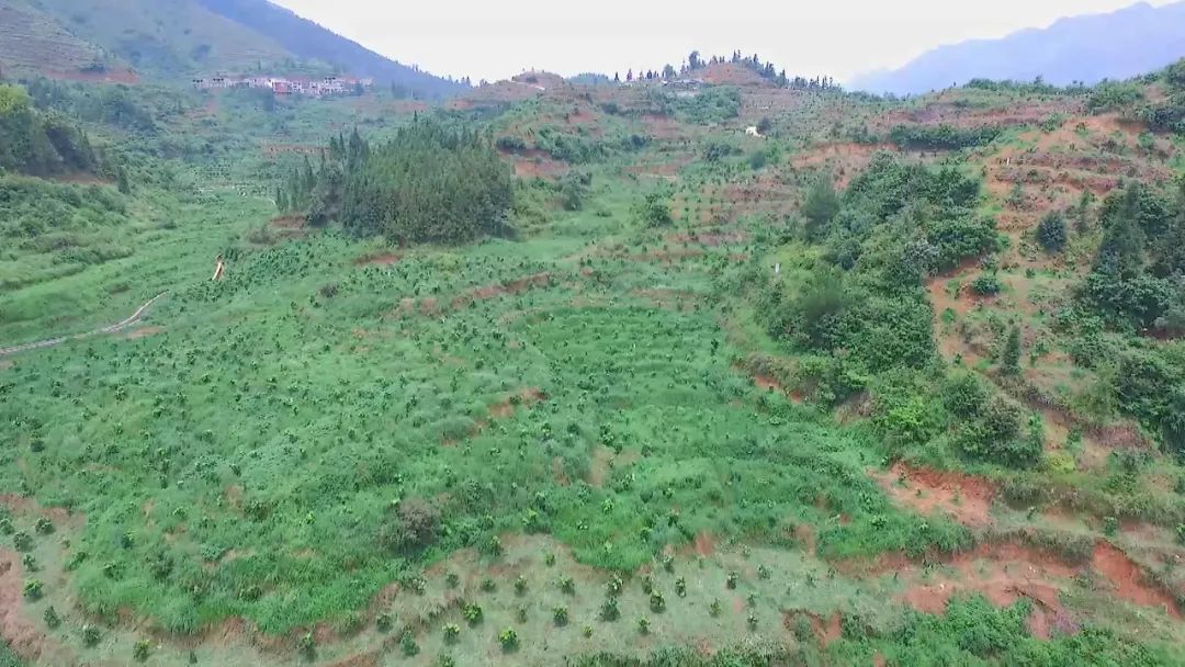 贵州山区迎来新绿，山体稳固守护家园美景