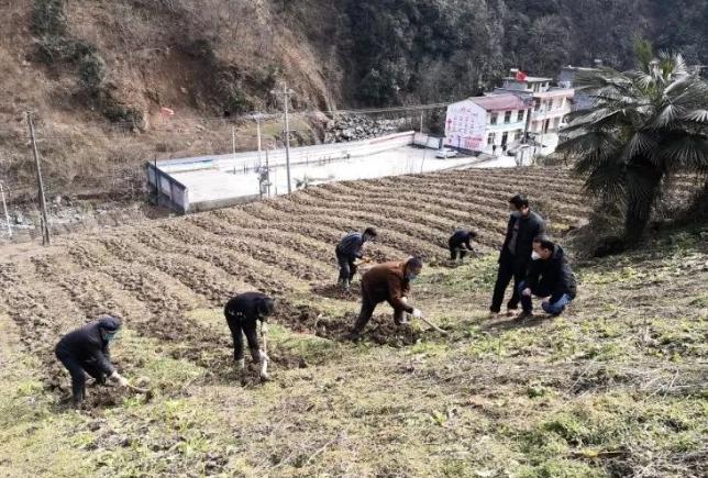 透着泪水