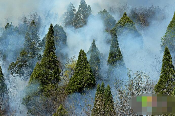 承德县社区资讯速递：最新热辣动态盘点