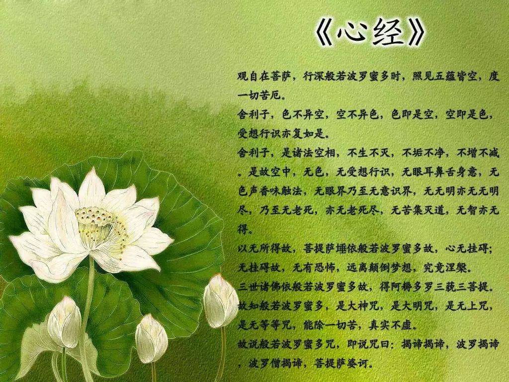 东方心经经典诗句，最新收录与解析大全